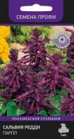 Сальвия Редди Парпл 10шт Сальвия Редди Парпл 10шт
