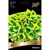 Хоста гибридная Либерти (I) 1 шт 828496