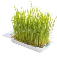 Лакомство для кошек Травка д/кошек пшеница лоток 40гр Лакомство для кошек Травка д/кошек пшеница лоток 40гр