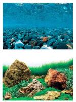 Фон для аквариума Горная река/Зеленое море 30*62см/BACKGROUND 019