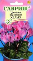 Цикламен персидский Хельга 3шт 