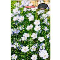 Лен Голубой 20*0,5  Лен Голубой 20*0,5