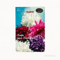 Астра смесь Страусово перо Павлиний хвост 20*1,5  Астра смесь Страусово перо Павлиний хвост 20*1,5