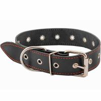 Ошейник кожа 35мм ЧИП натурал кожа простроч.до 71см черный/51038черн/Дарэлл Ошейник кожа 35мм ЧИП натурал кожа простроч.до 71см черный/51038черн/Дарэлл