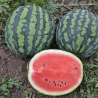 Арбуз Астраханский 5г