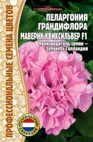 Пеларгония грандифлора Маверик Квиксильвер F1 3шт