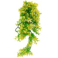 Растение LUCKY REPTILE Turtle Plant Horn Bacopa 40см (Германия) TP-44