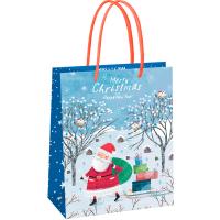 Пакет подарочный 18*23*10см "Christmas" мат. ламинация MESHU/Рельеф Пакет подарочный 18*23*10см "Christmas" мат. ламинация MESHU/Рельеф