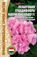 Пеларгония грандифлора Маверик Квиксильвер F1 3шт Пеларгония грандифлора Маверик Квиксильвер F1 3шт