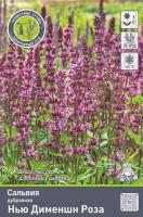 Сальвия дубравная (Шалфей) 