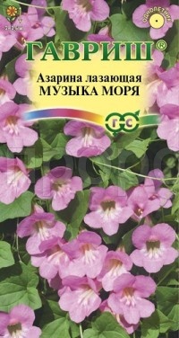 Азарина Музыка моря 4шт Азарина Музыка моря 4шт