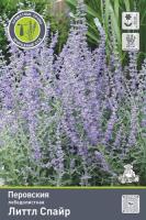 Перовския лебедолистная Литл Спайр 842453