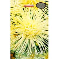 Астра Искушение желтая 20*1 Астра Искушение желтая 20*1