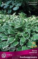 Хоста волнистая Альбомаргината (I) 1 шт 744098