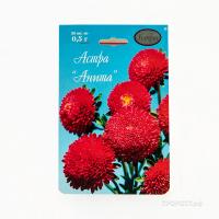 Астра Помпонная красная Анита 20*1