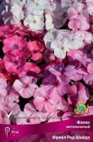 Флокс метельчатый Фрекл Ред Шейдз (I) 1 шт 744352