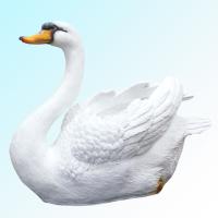 Лебедь большой 626639/К145