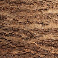 Фон для террариума Кора натуральная на пробке 585*410мм Repti-Zoo/84065008/Триол