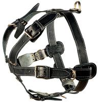 Шлейка кожа 35мм с треугольником двойная шея 72-92см грудь 95-105см/01001011/Каскад