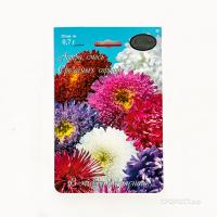 Астра смесь Срезочных сортов Сказка 20*1,5 Астра смесь Срезочных сортов Сказка 20*1,5