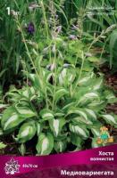 Хоста волнистая Медиовариегата (I) 1 шт 744099