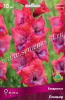 Гладиолус Крупноцветковый Люмьер (10/12) 10 шт