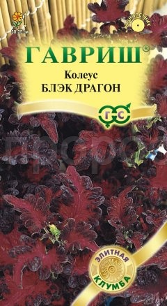 Колеус Блэк Драгон 4шт Колеус Блэк Драгон 4шт