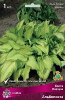 Хоста Форчуна Альбопикта (I) 1 шт 744104