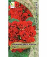 Примула махровая Розелла Ред 5шт  Примула махровая Розелла Ред 5шт
