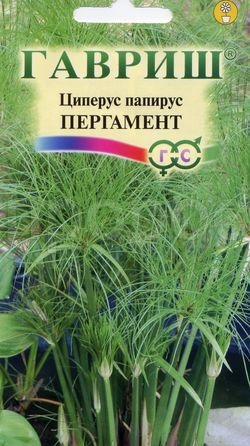 Циперус очереднолистный Зонтик 0,05 г Циперус очереднолистный Зонтик 0,05 г