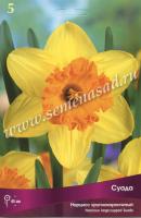 Нарцисс Крупнокорончатый Суада (жёлтый с оранжевой гофрированной коронкой, яркий, 5шт, 12/14) 756132