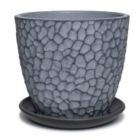 Манго серый бутон №4 4л