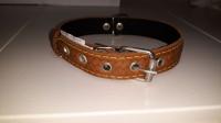 Ошейник кожа+брезент 25мм 2-х слойный Н/У 50-52см/40724