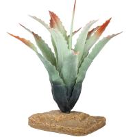 Растение LUCKY REPTILE Tillandsia 20см (Германия) IF-80