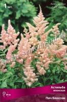 Астильба японская Пич Блоссом