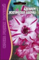 Адениум Экзотическая Бабочка 3 шт