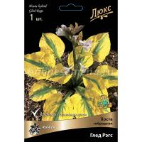 Лилейник гибридный Глед Рэгс (I) 1 шт 