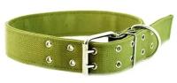 Ошейник брезентовый 45мм Н/У 2-х слойный /180345/Бим