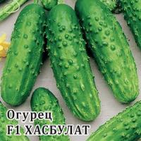Огурец Хасбулат F1 100 шт