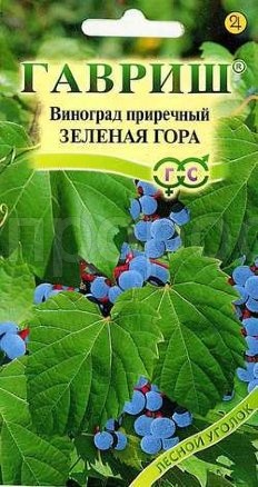 Виноград приречный Зеленая гора 5 шт Виноград приречный Зеленая гора 5 шт
