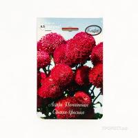 Астра Помпонная светло-красная Совершенство 20*1