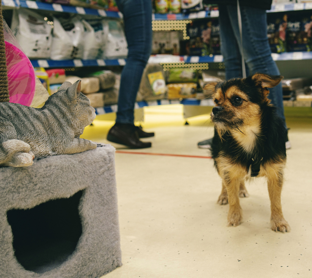 _DSC3853.jpg _DSC3853.jpg