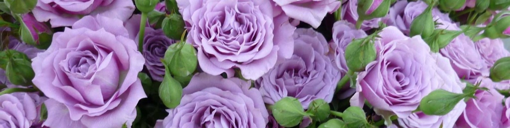 Эрров-Фоллис.jpg Эрров-Фоллис.jpg