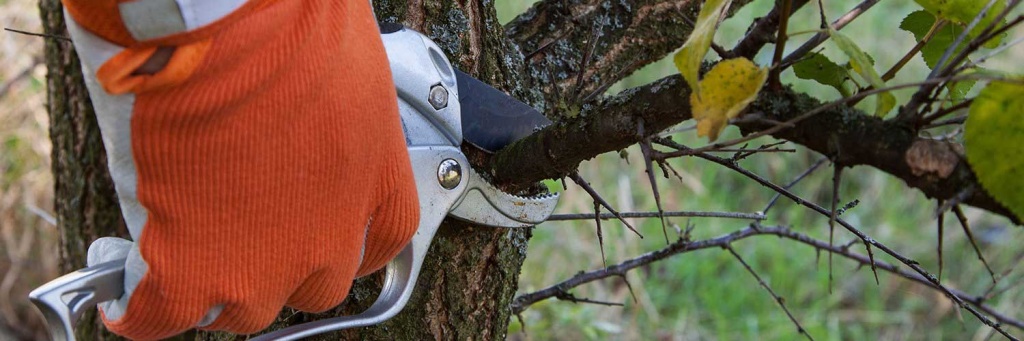 обрезка2.jpg обрезка2.jpg