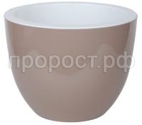 орион фраппе