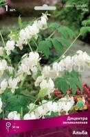Дицентра великолепная Альба