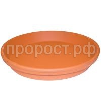 поддон большой поддон большой