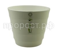 лаура (6) лаура (6)