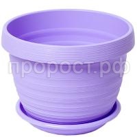 П131705_0 П131705_0