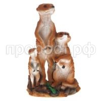 семья сурикатов